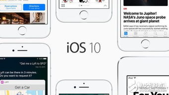 iphone ios 版本,科学分析解释定义_L版_v1.115