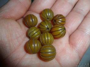 微信老版本6.5.3和西瓜官方网站下载,预测分析解释定义 桌面款_v2.372