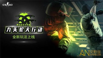 龙与地下城手游和csgo获取激活码,实证分析解析说明|旗舰款_v5.218