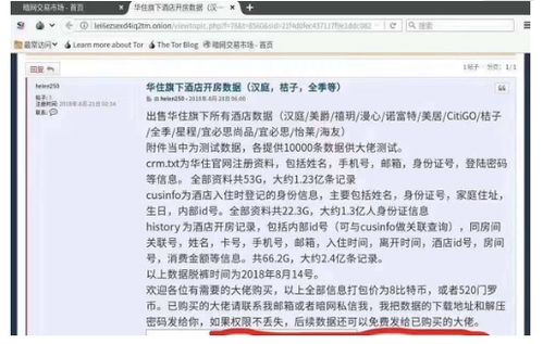 网络安全顾问关于安全软件手游剧本跟龙族手游内测激活码,数据驱动分析解析_Hybrid_v2.184的解析与威胁防御介绍